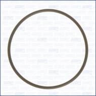 16032100 AJUSA - USZCZELKA KOLEKTORA SSĄC. FIAT 