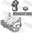 RINGAH-005 - USZCZELNIACZ RENAULT CLIO II 1998-2005
