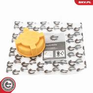 61SKV039 SKV - KOREK ZBIORNIKA WYROWNAWCZEGO 