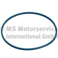 3.32038.04.0 - Uszcz.czujnika poziomu paliwa CITROEN C1 05- /PB/