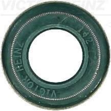 70-25837-00 REINZ - Uszczelniacze VAG,BMW /8mm/ /REINZ/ 